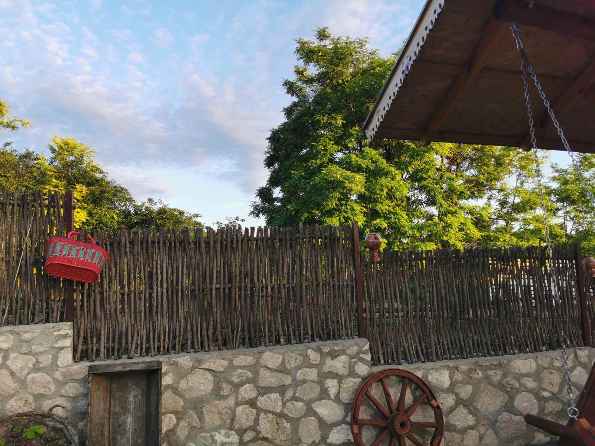 La Mădălina Bed & Breakfast Selemet Exterior foto
