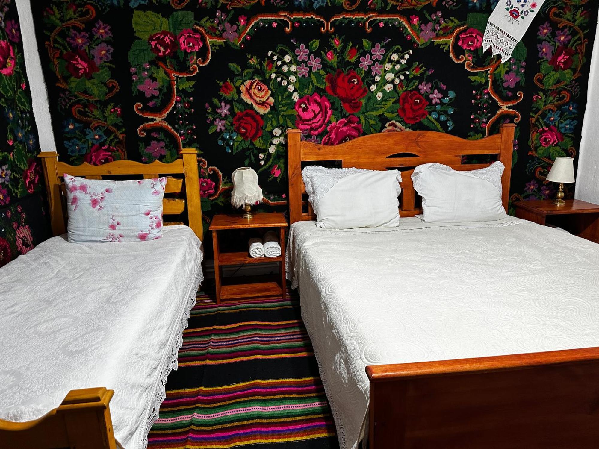 La Mădălina Bed & Breakfast Selemet Exterior foto